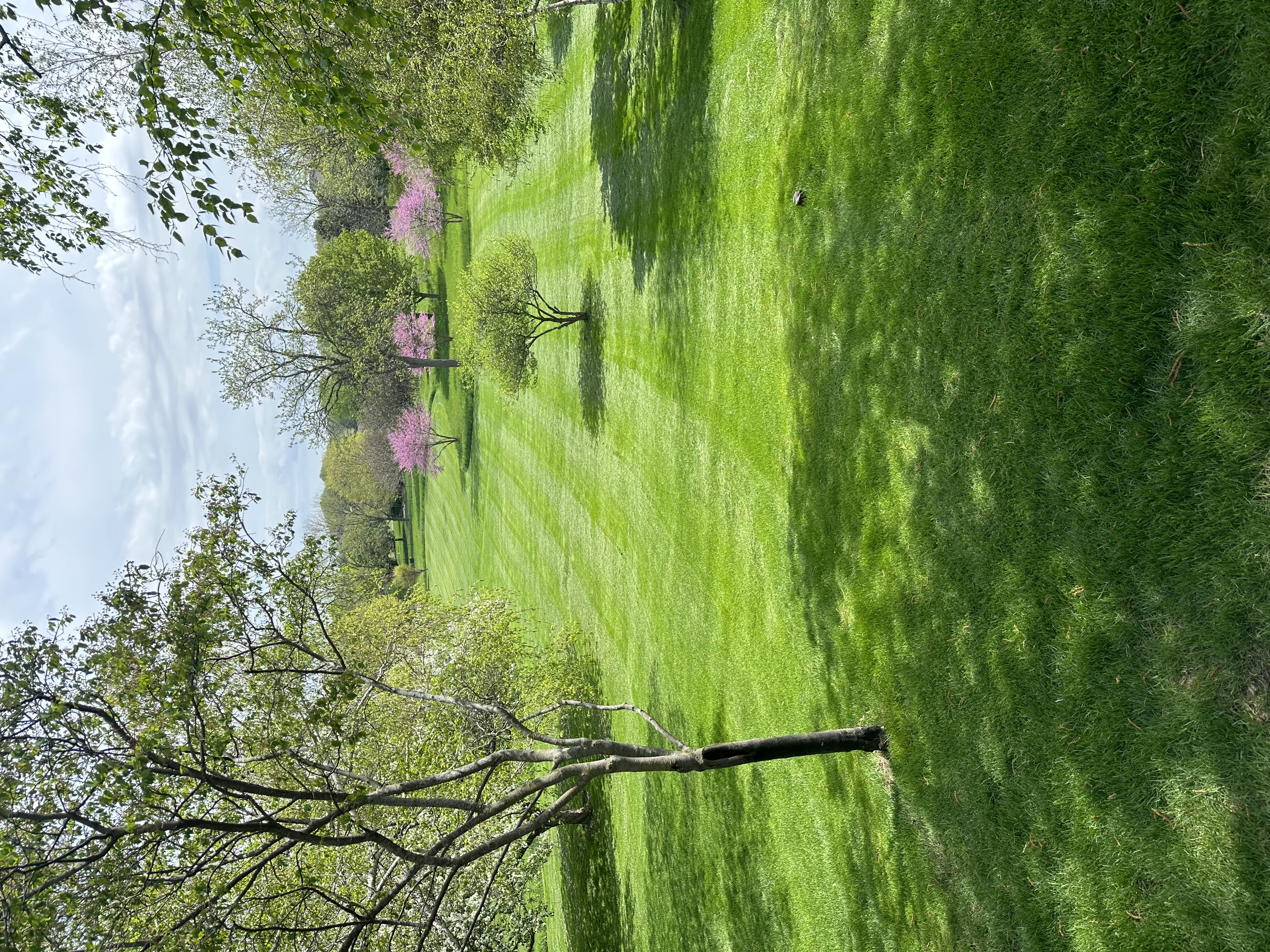 Avatar for H&A lawn care