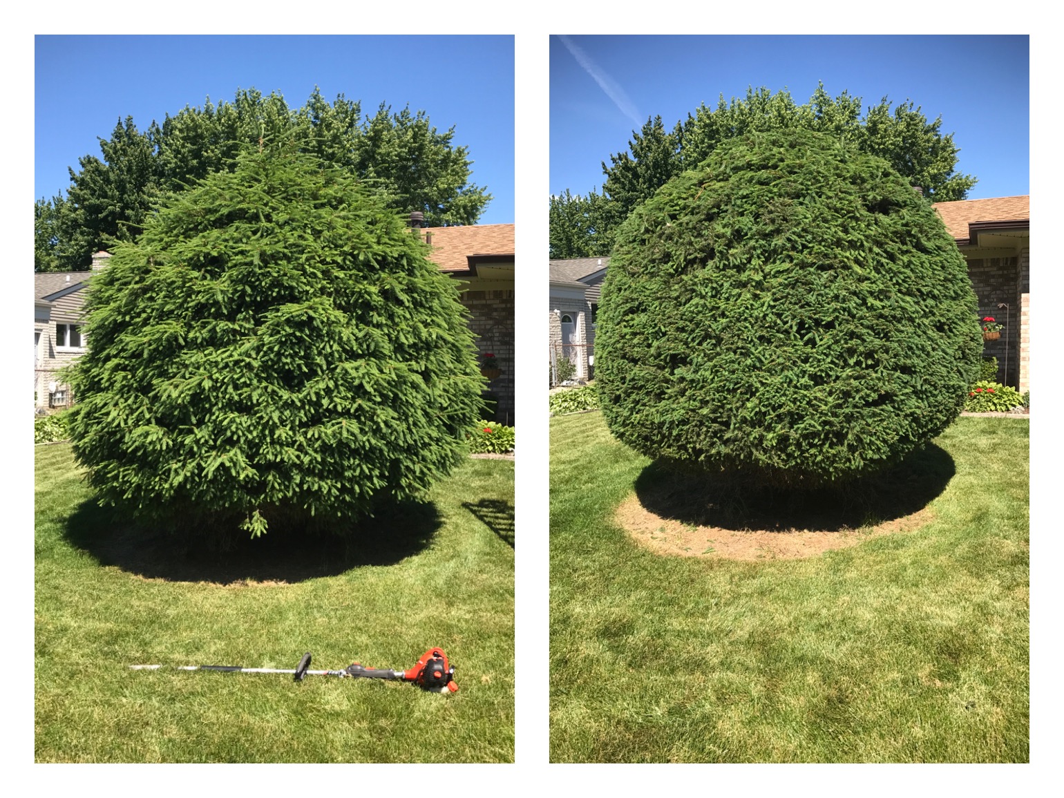 Danny's Pro Landscaping LLC. logo