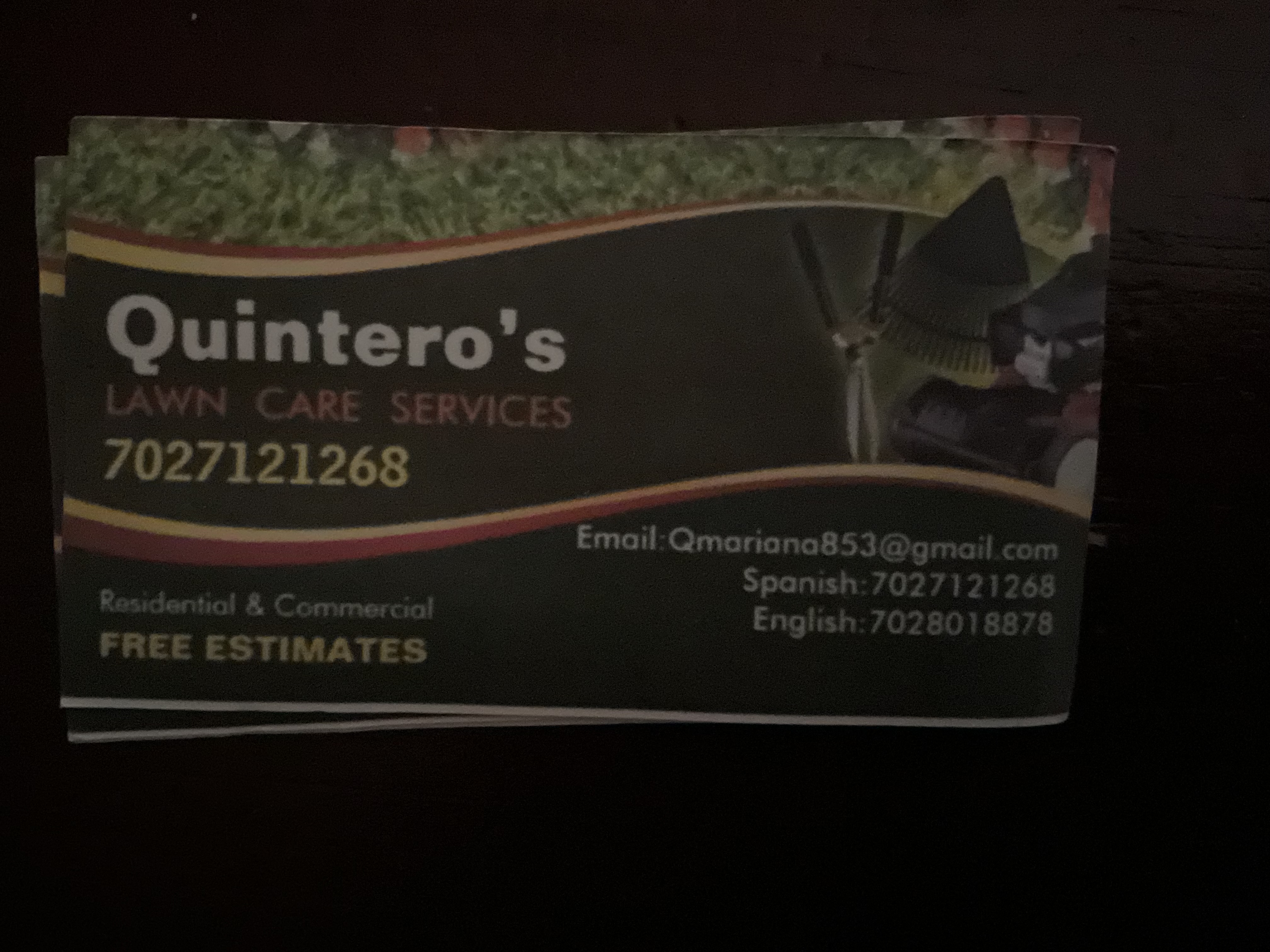 Avatar for Quinteros landscape