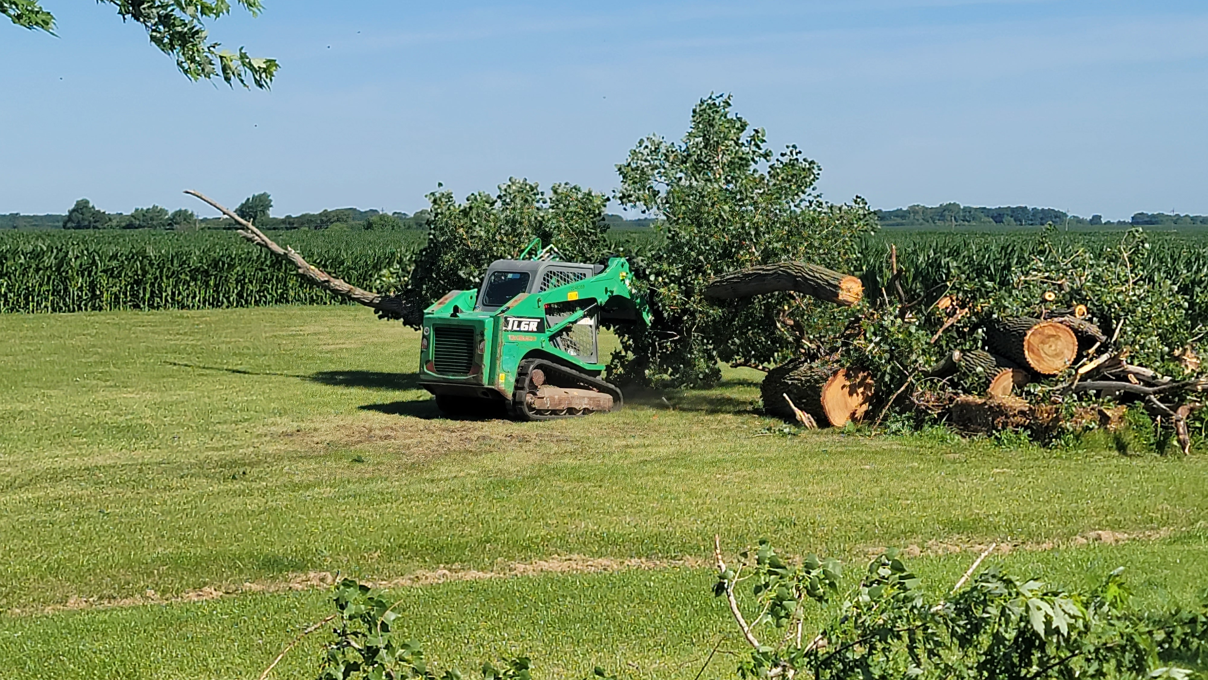 D & S Tree Service logo