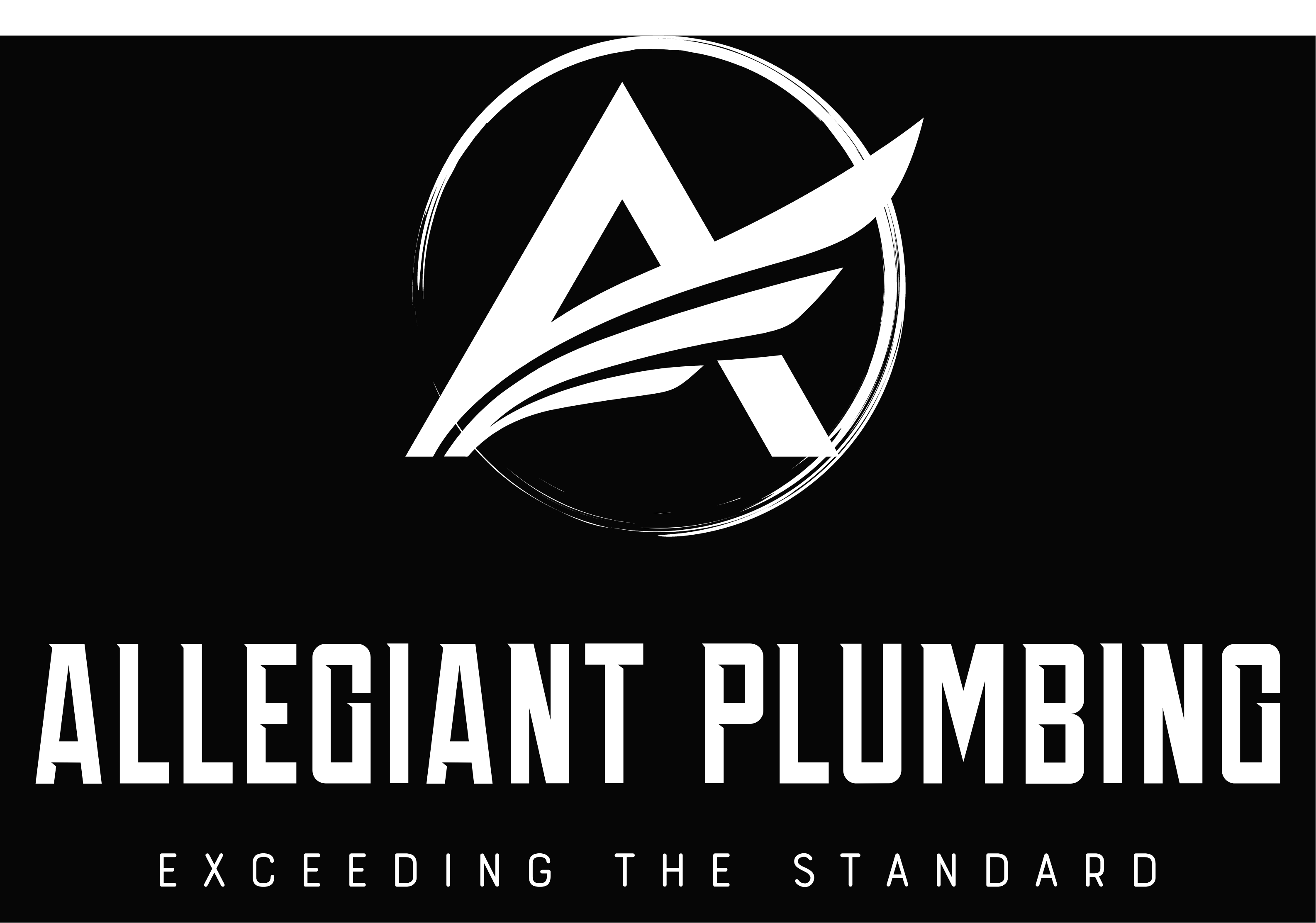 Avatar for Allegiant Plumbing