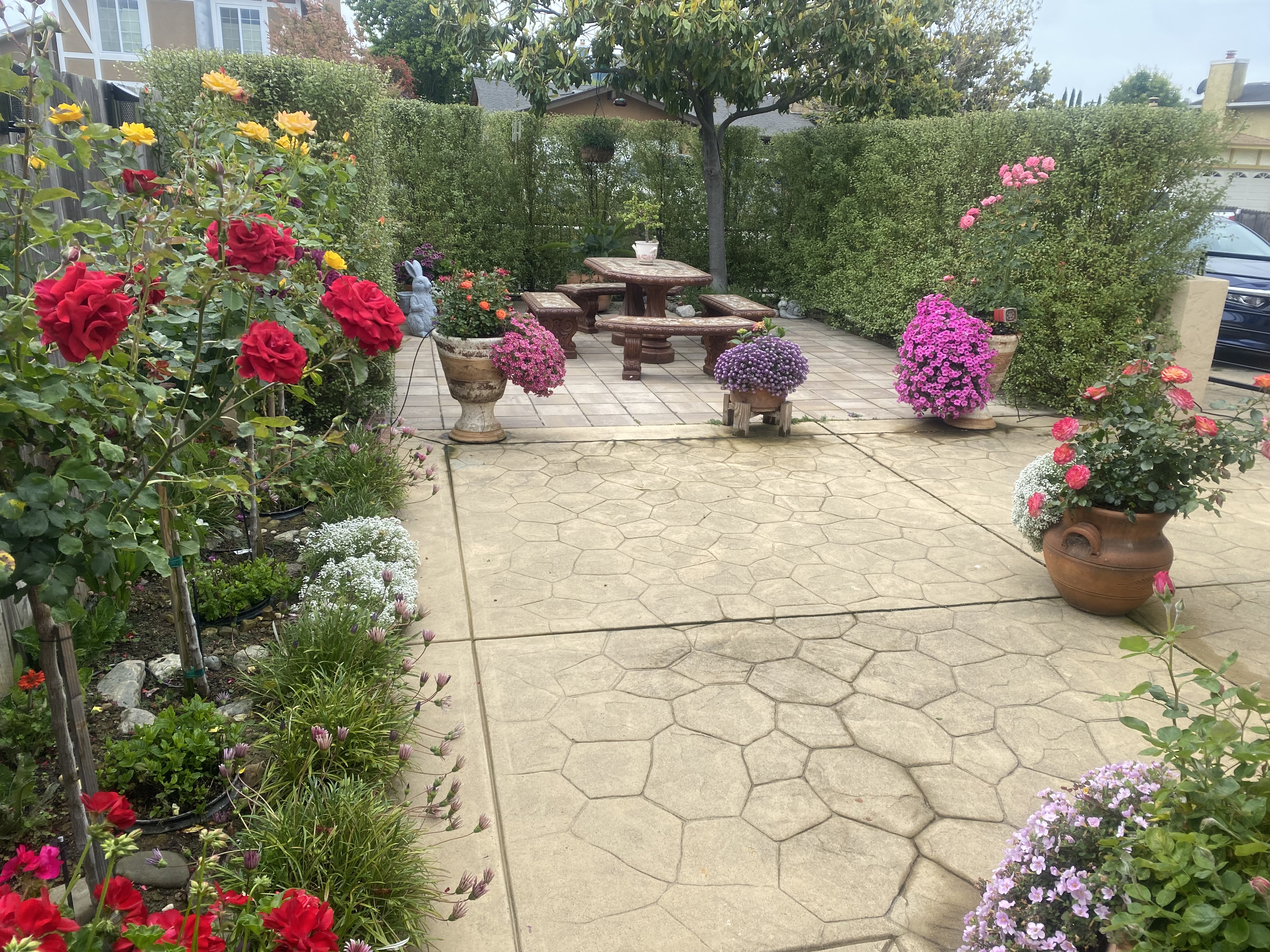 Avatar for Chanon concrete