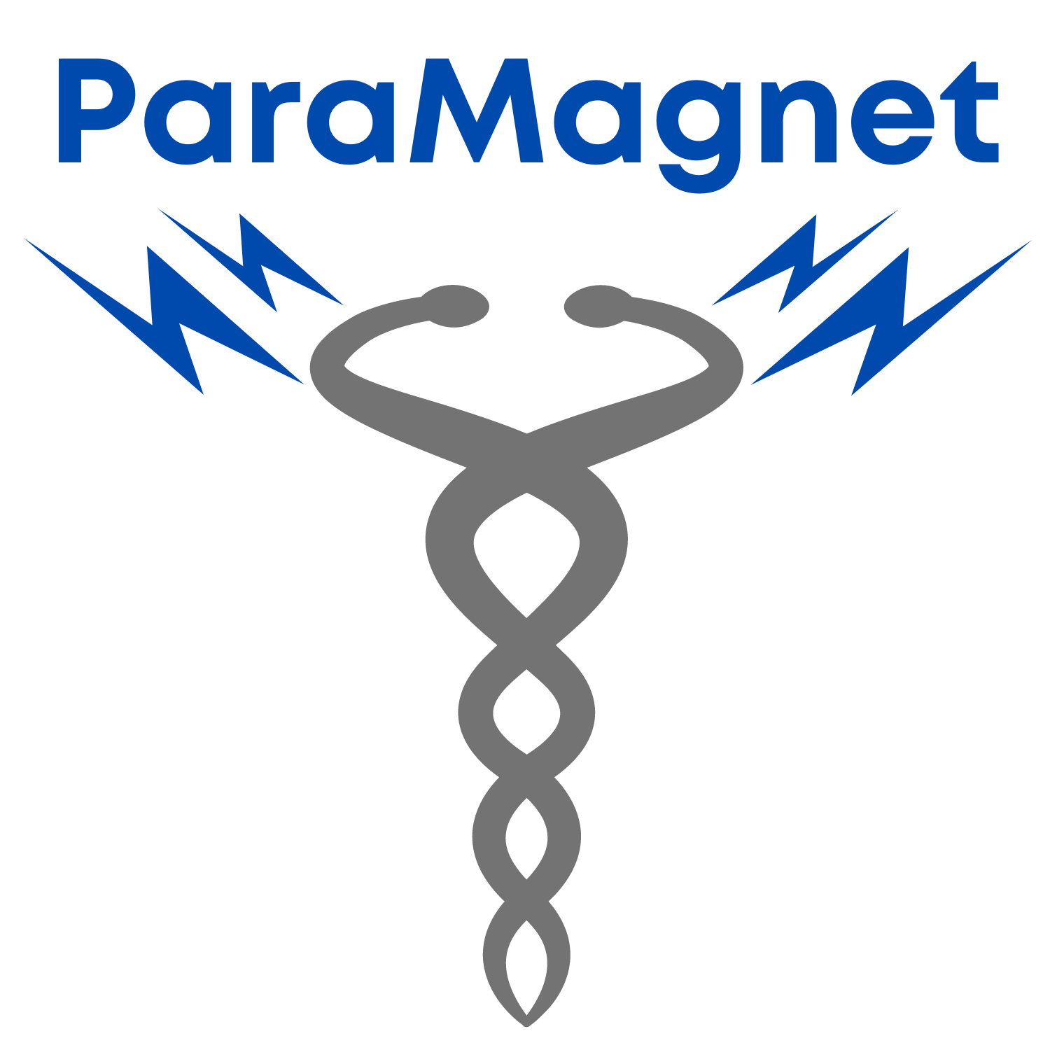 Avatar for Paramagnet LLC