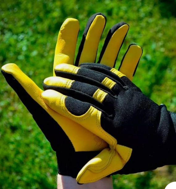 Avatar for Family 4 moving