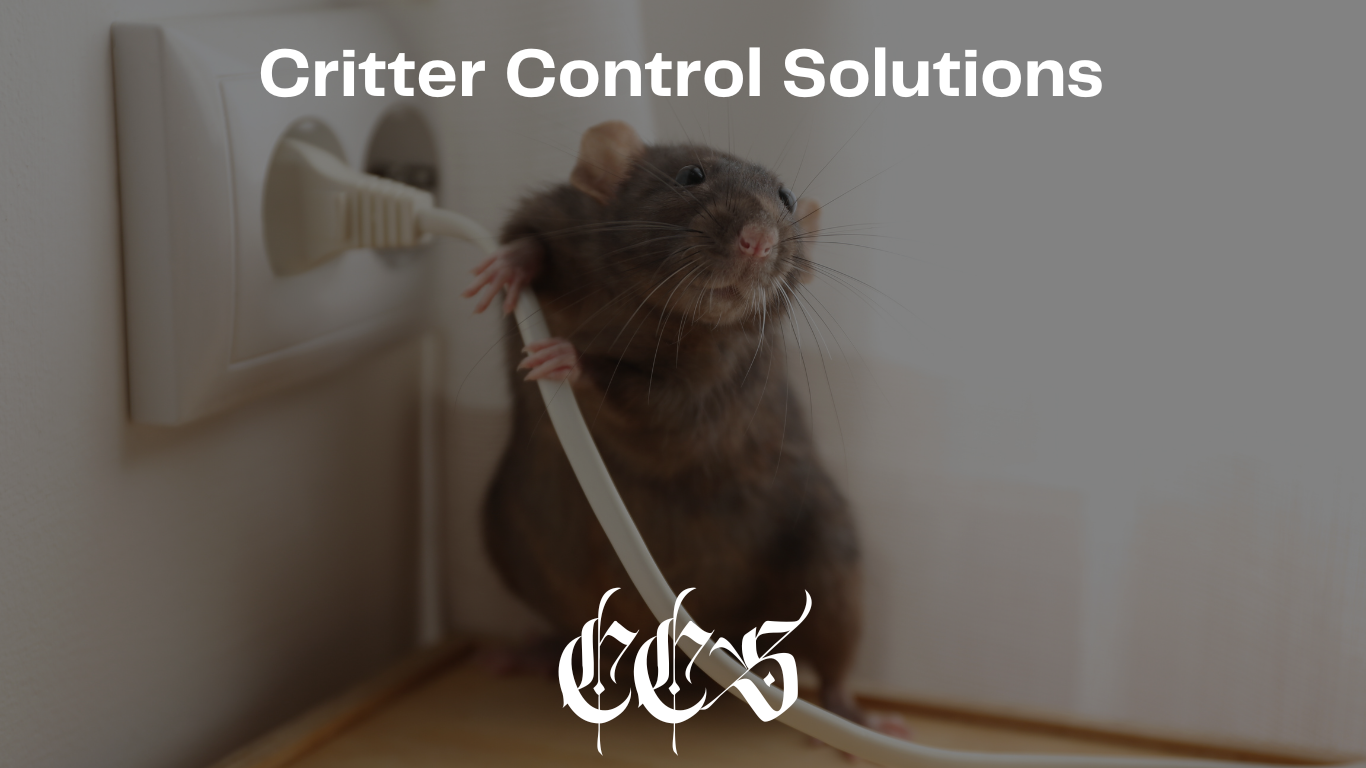 Critter Control Services logo