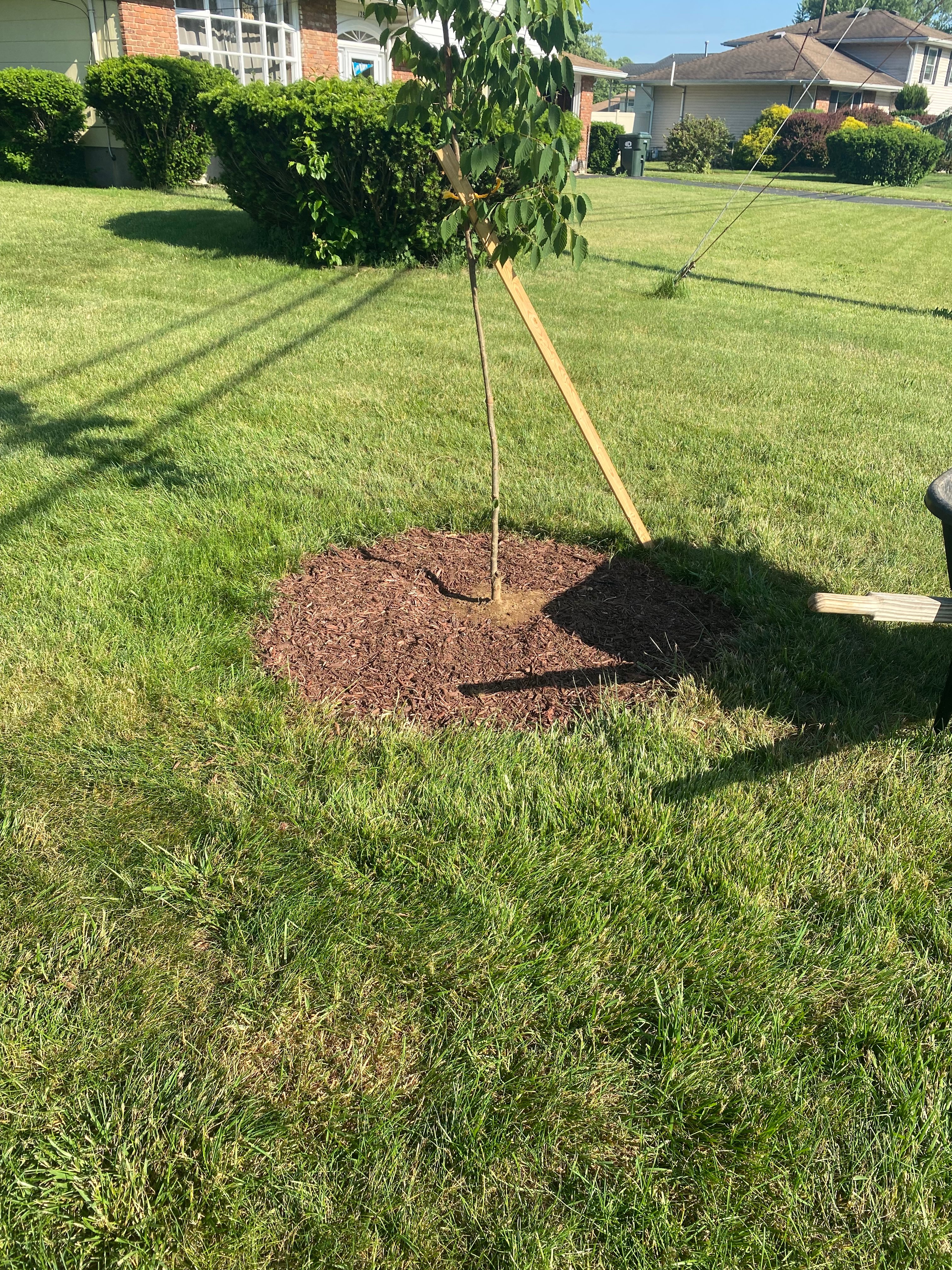 Avatar for D&E Landscaping