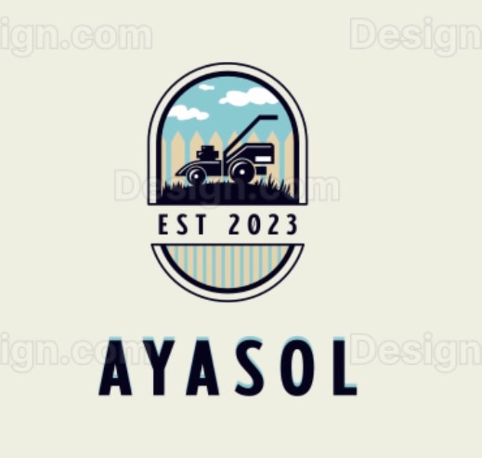 Avatar for AYASOL