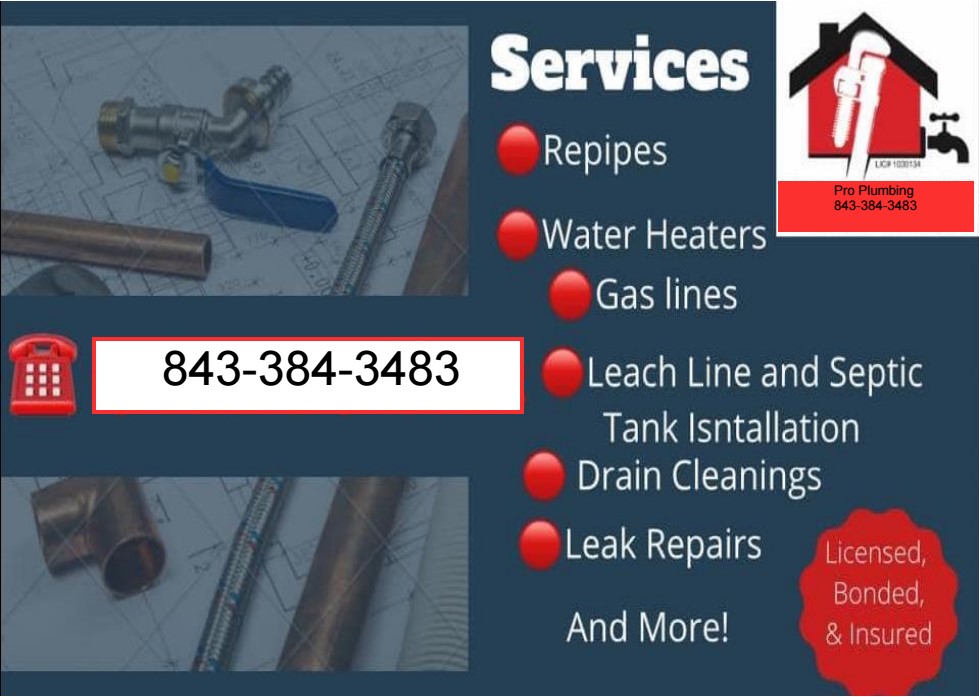 Pro Plumbing logo