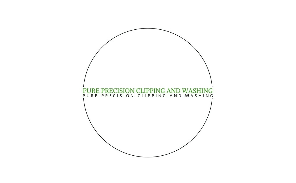 Pure precision, clipping & washing logo