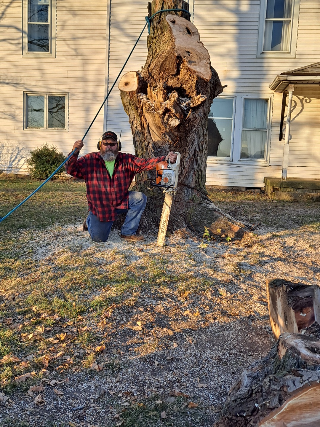 Lyons Tree Service logo