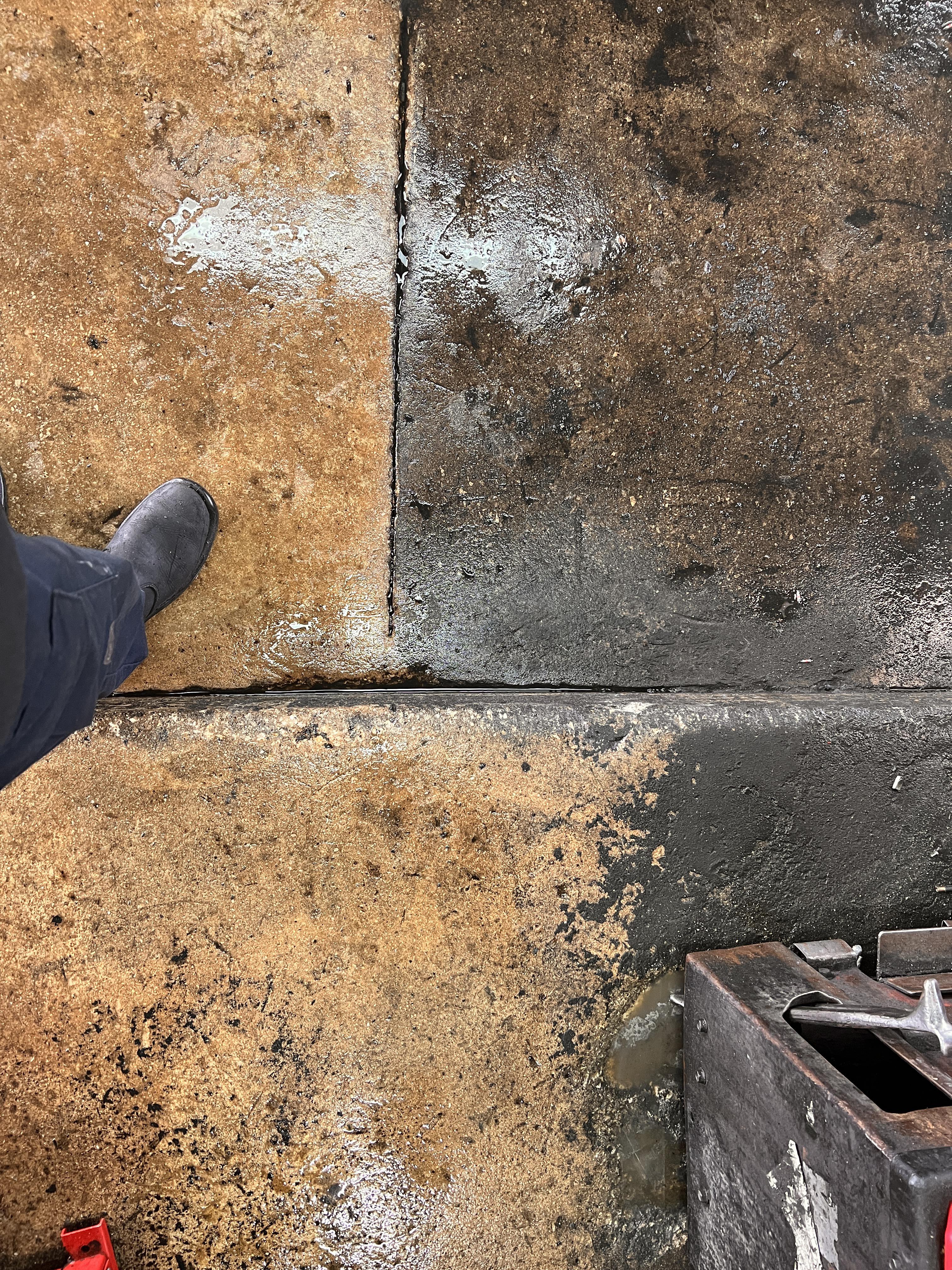 Avatar for ProClean Solutions