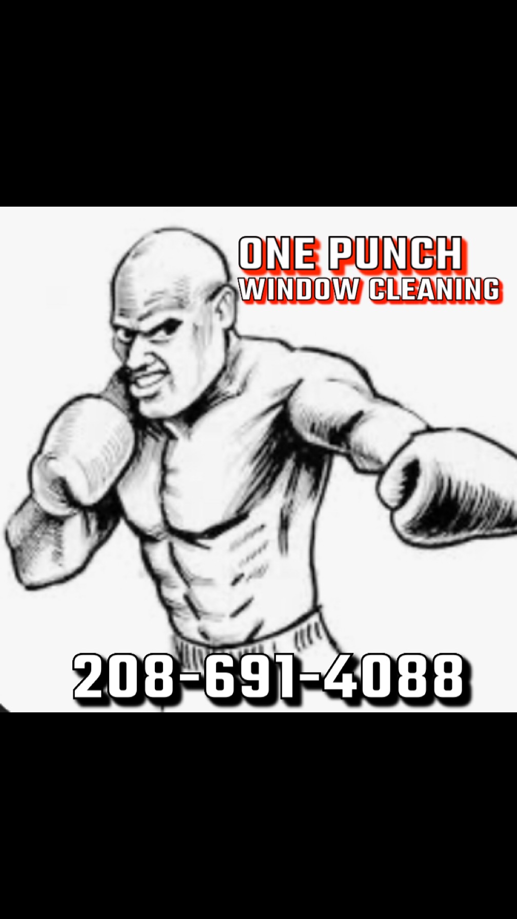 One Punch Window Cleaning logo