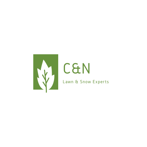 Avatar for C&N Lawn and Snow