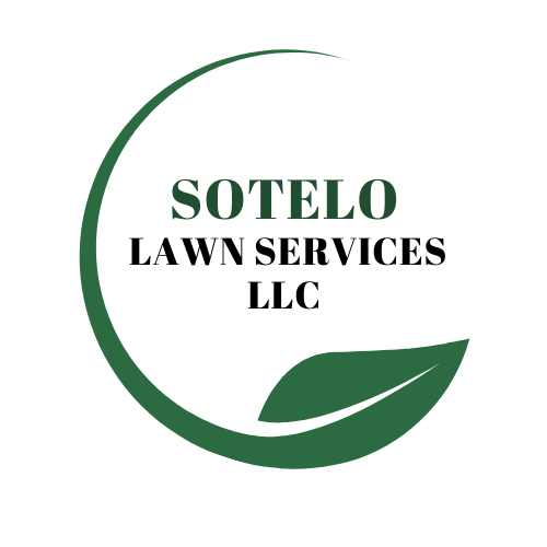 Avatar for Sotelo Lawn Services