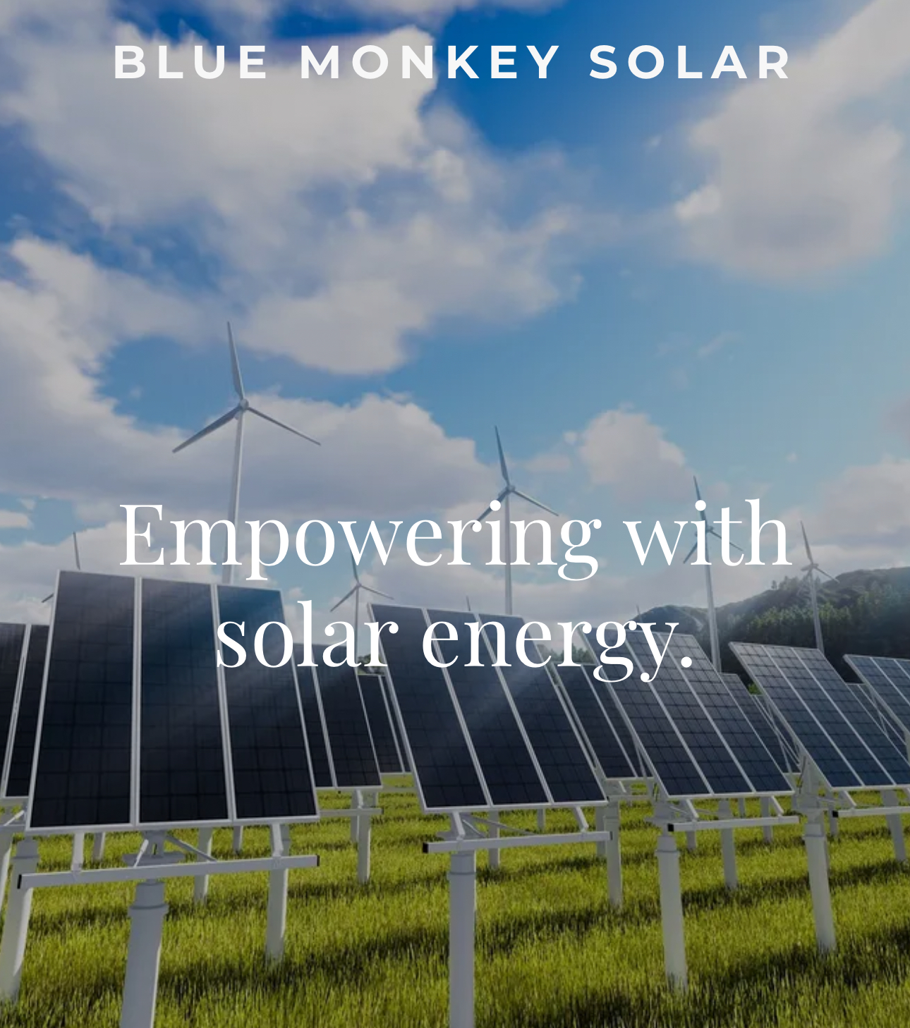 Avatar for Blue Monkey Solar