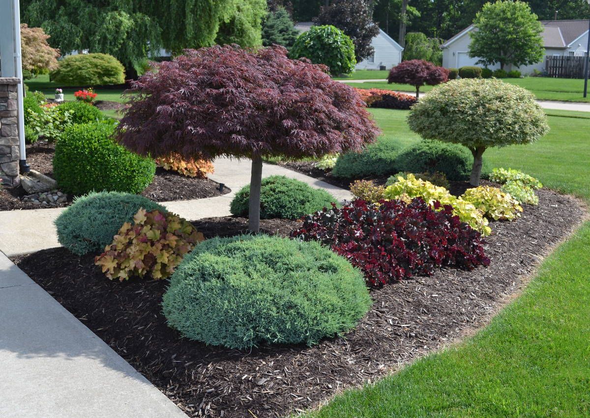 Hermanos Cancio landscaping services logo