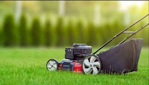 Avatar for Lovely Lawns