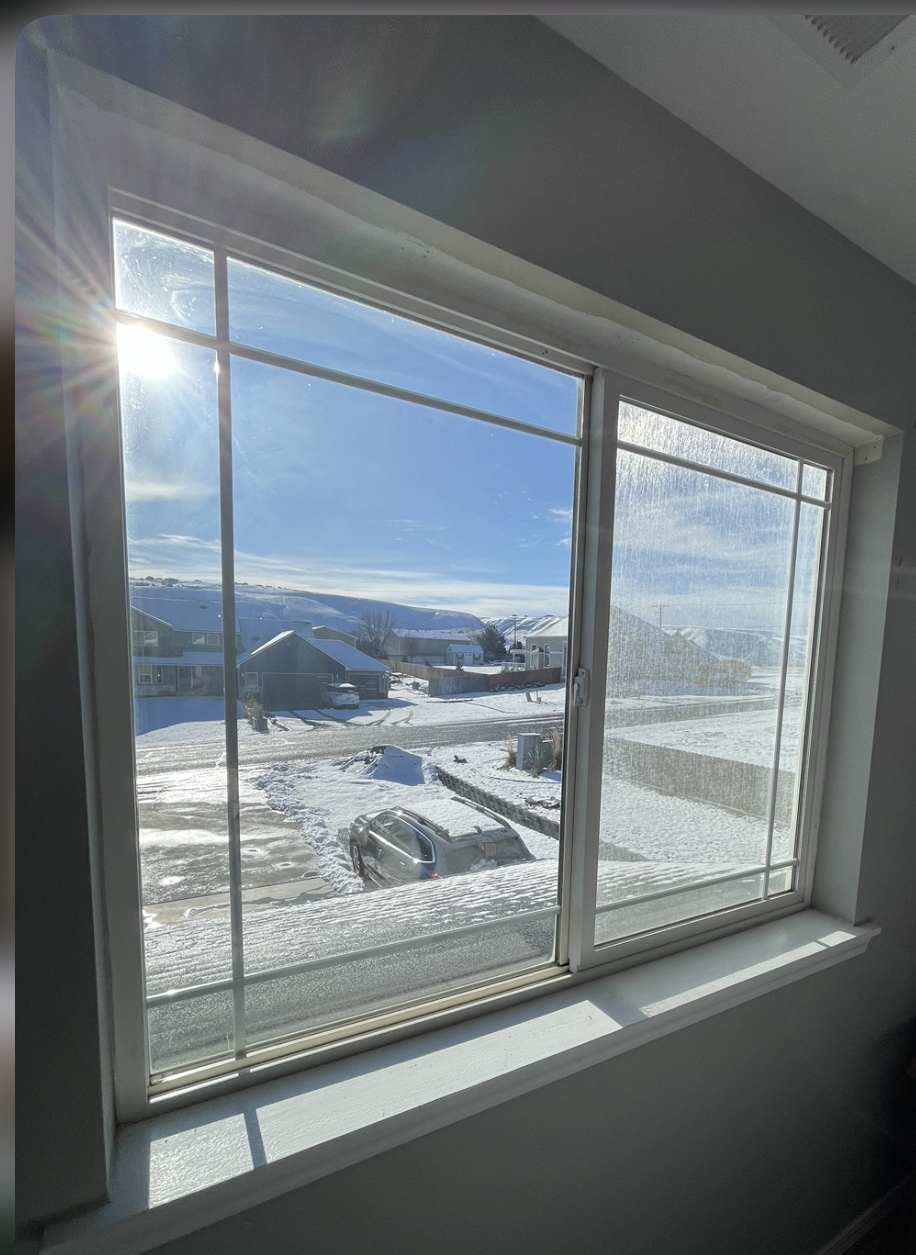 The Window & Door Specialists Llc logo