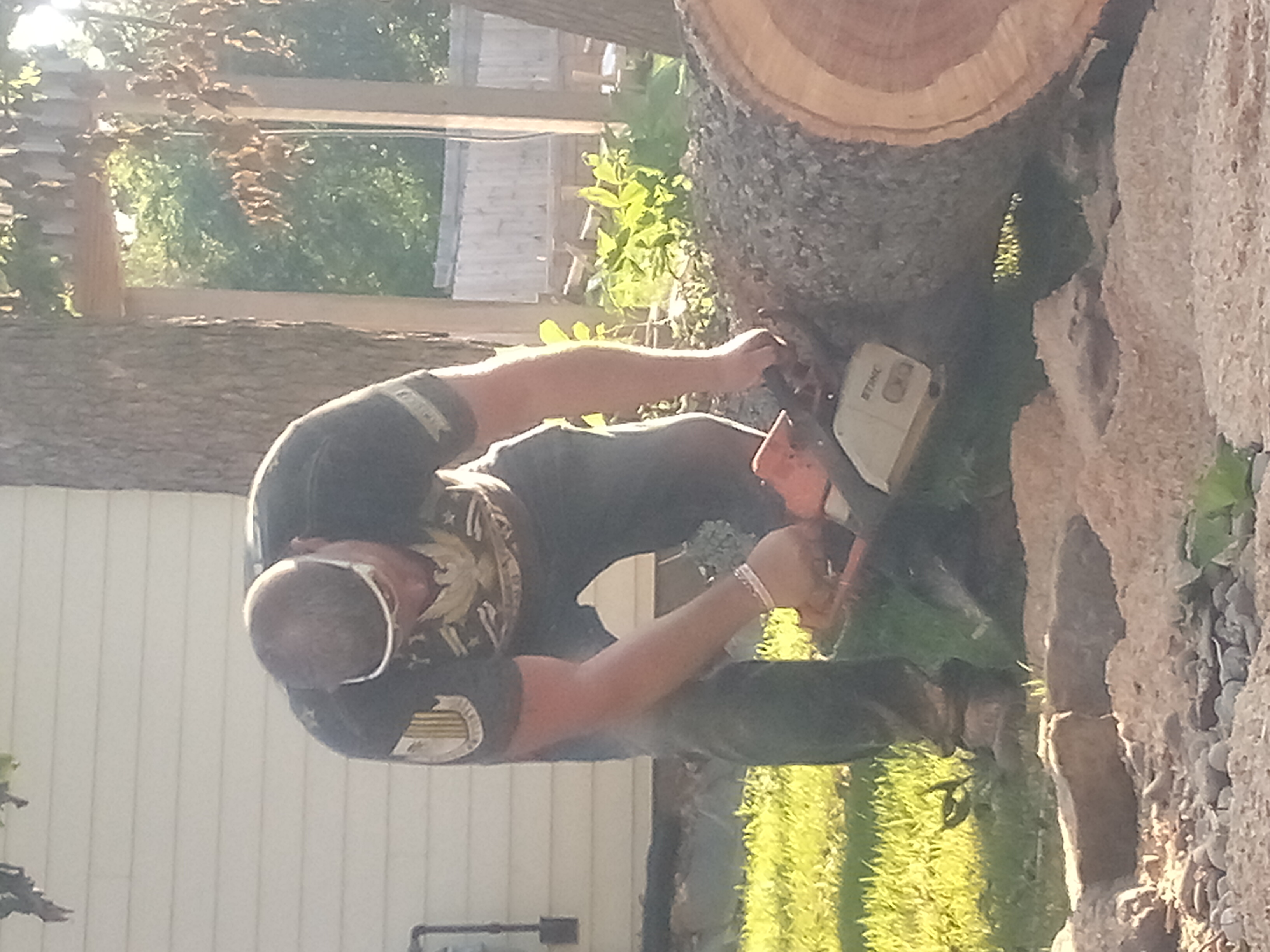 Razorback tree service logo