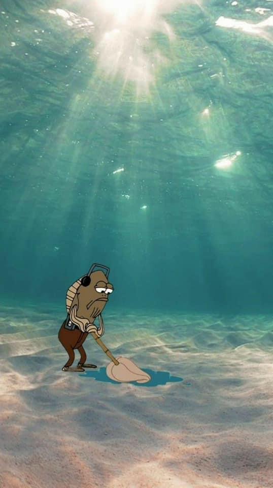 Avatar for Lance bob