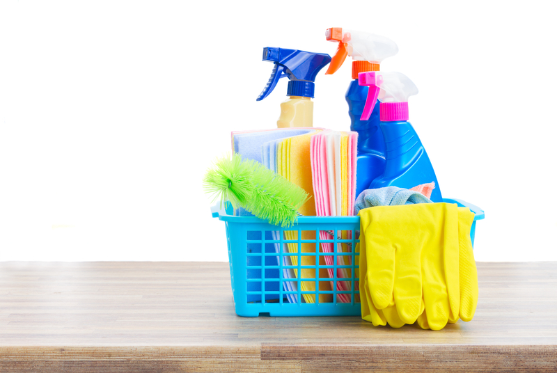 Squeaky Clean Services logo