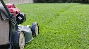 Avatar for Butters lawn care