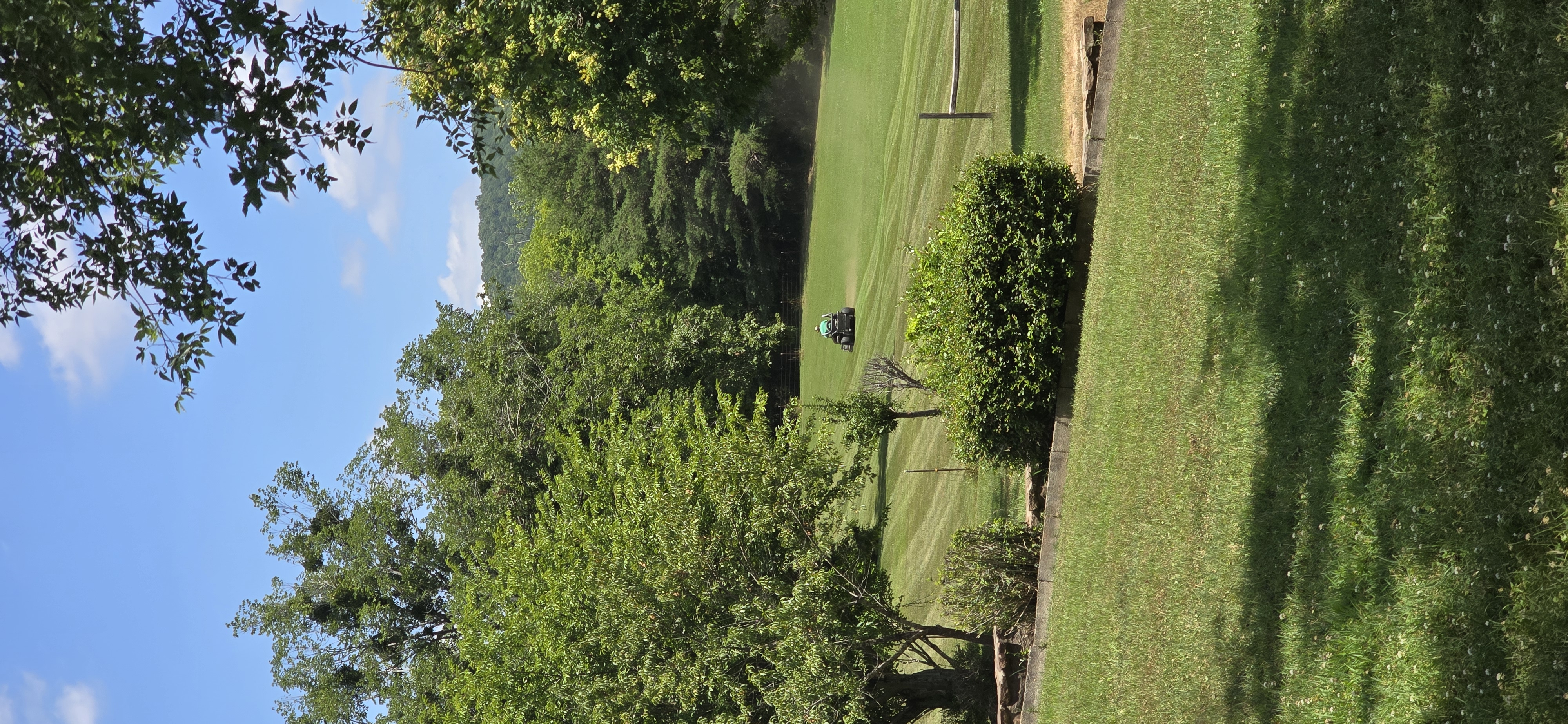 Avatar for DISCOUNT LAWNCARE