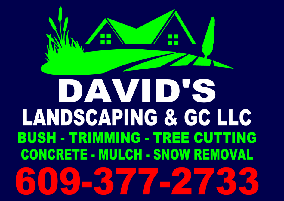 Avatar for David's Landscaping & GC LLC