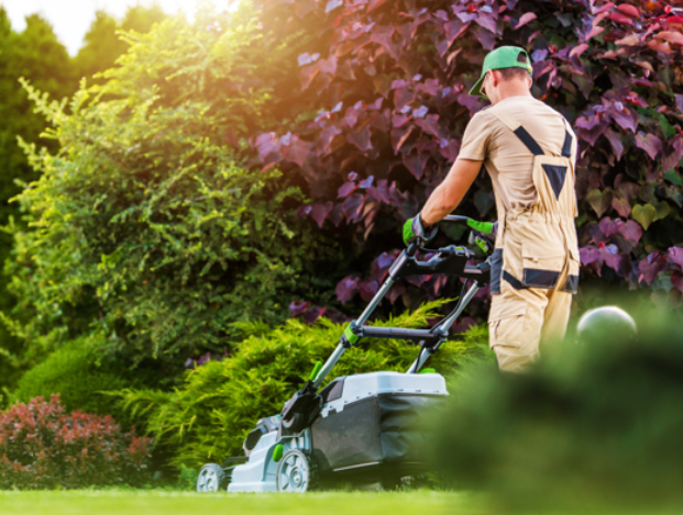 wilson's landscaping logo