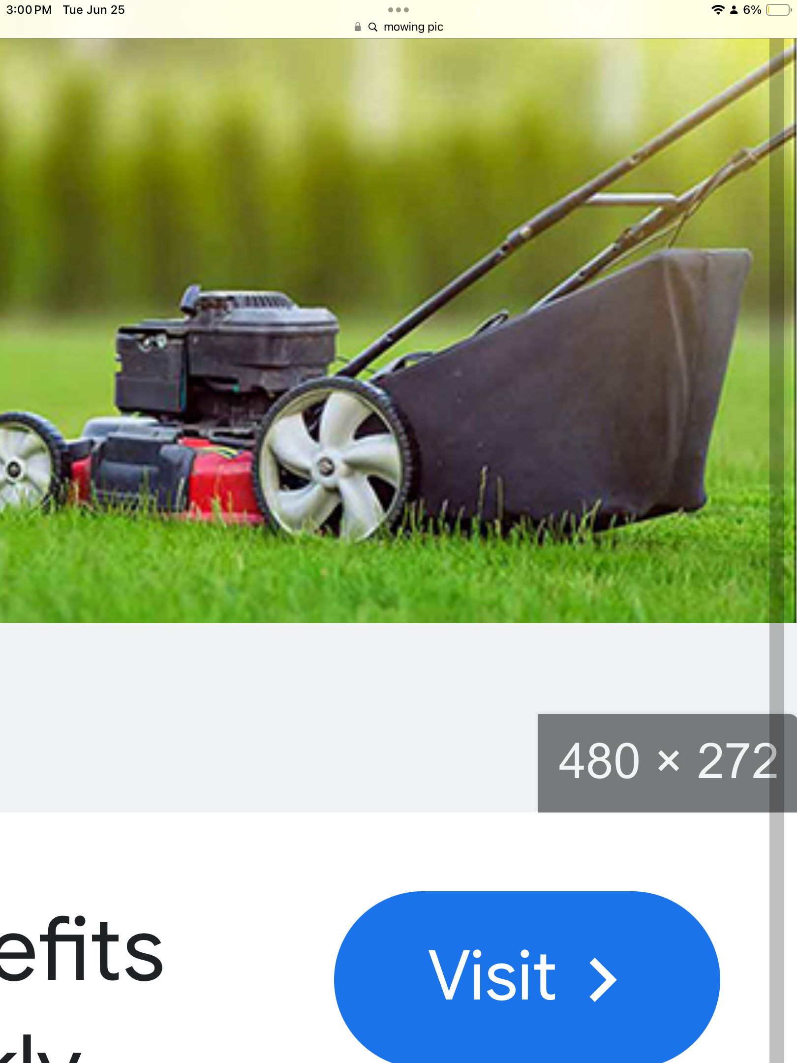 Avatar for Ethan’s mowing