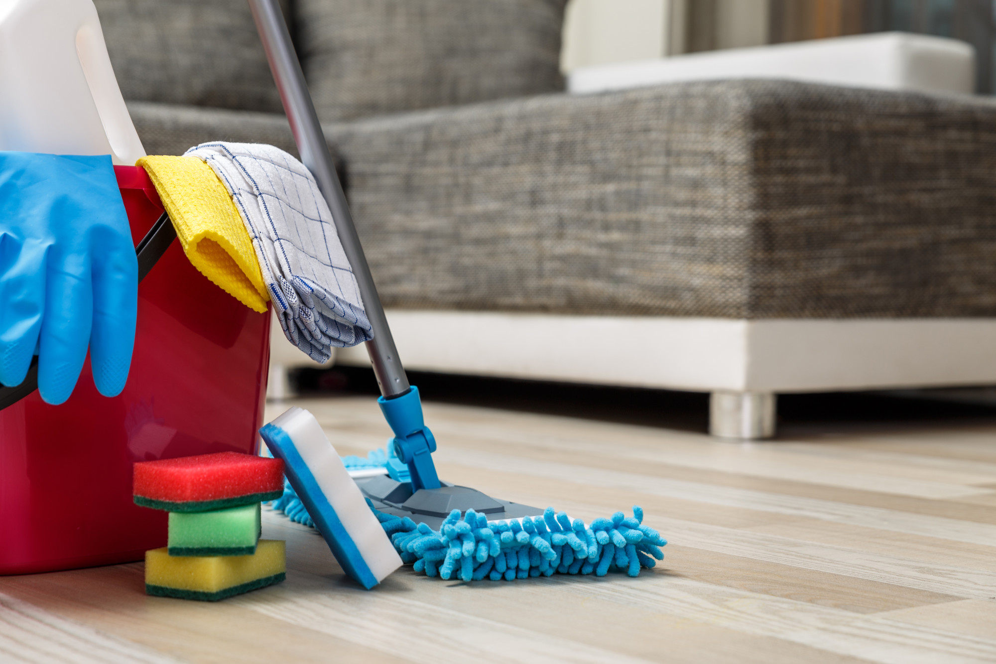 Shine Cleaning Services logo