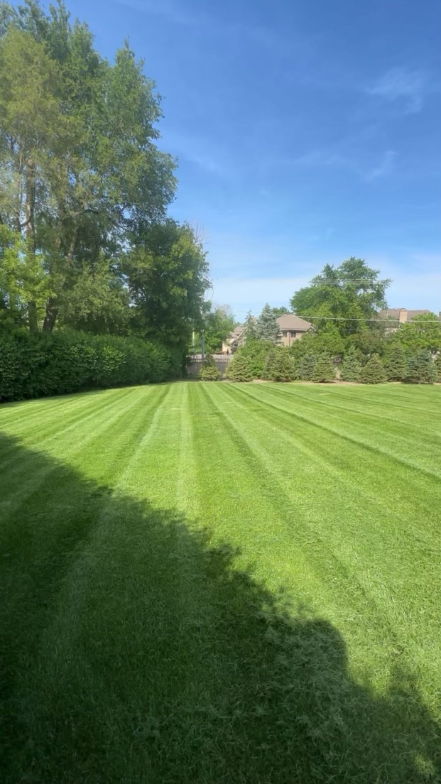 wills lawncare logo