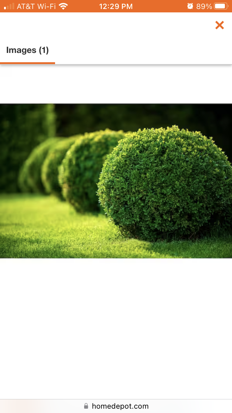 Banks lawn and landscape logo