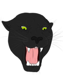 Avatar for PANTERA SERVICES L.L.C