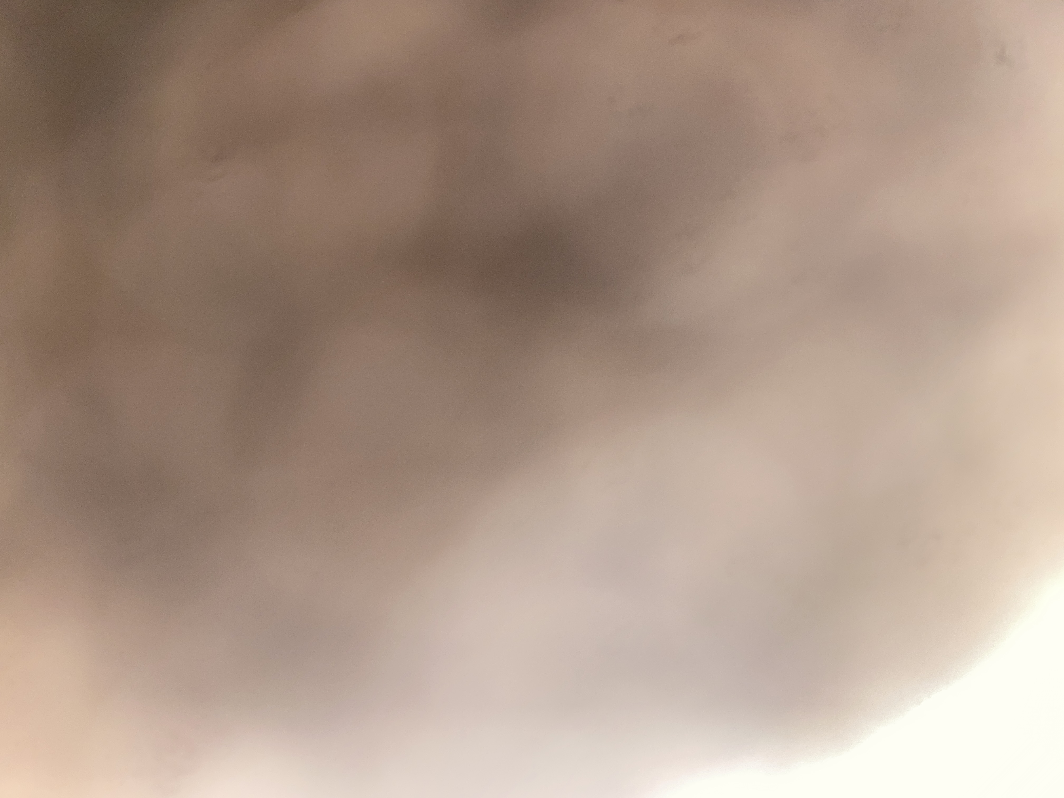 Avatar for Enterprise