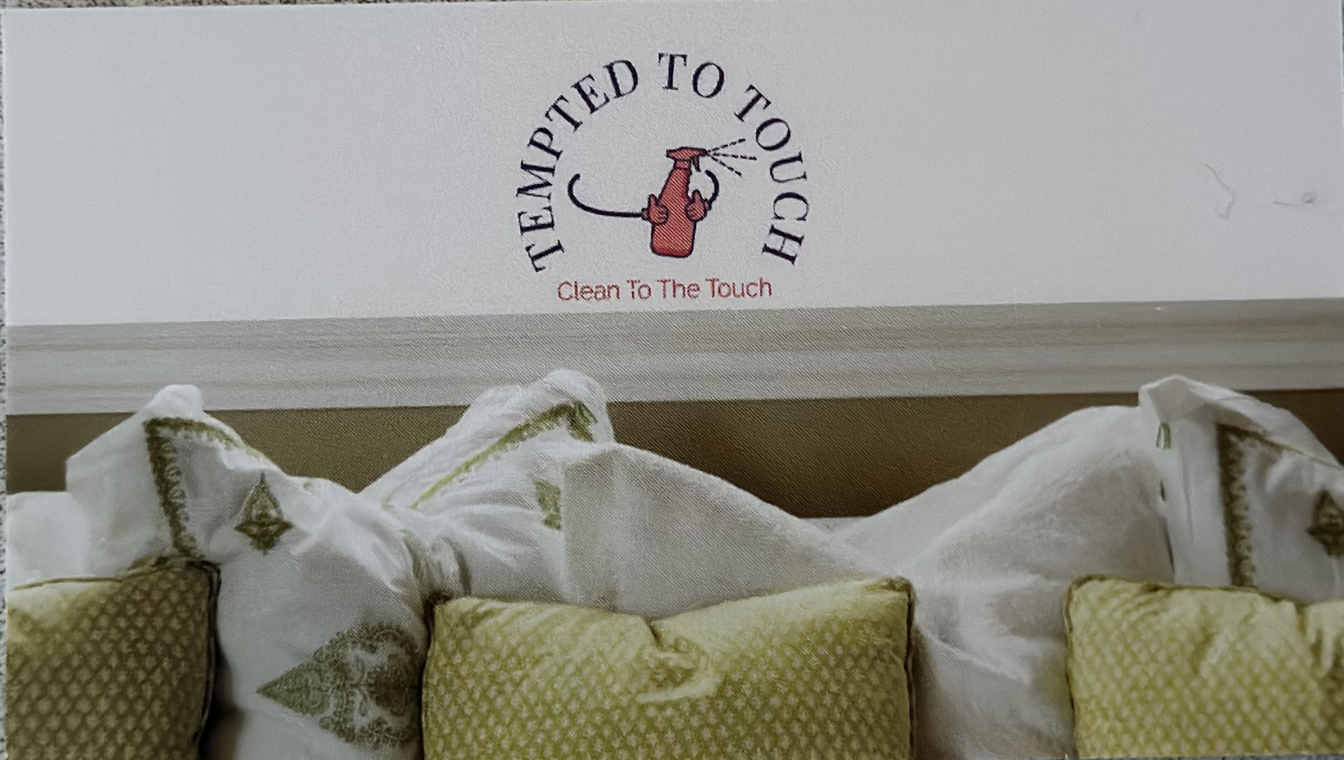 Tempted To Touch Cleaners logo