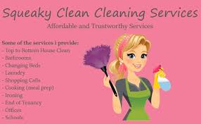Squeaky Clean logo
