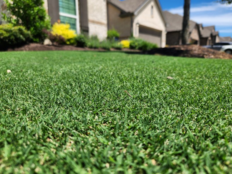 GreenTex Lawns logo