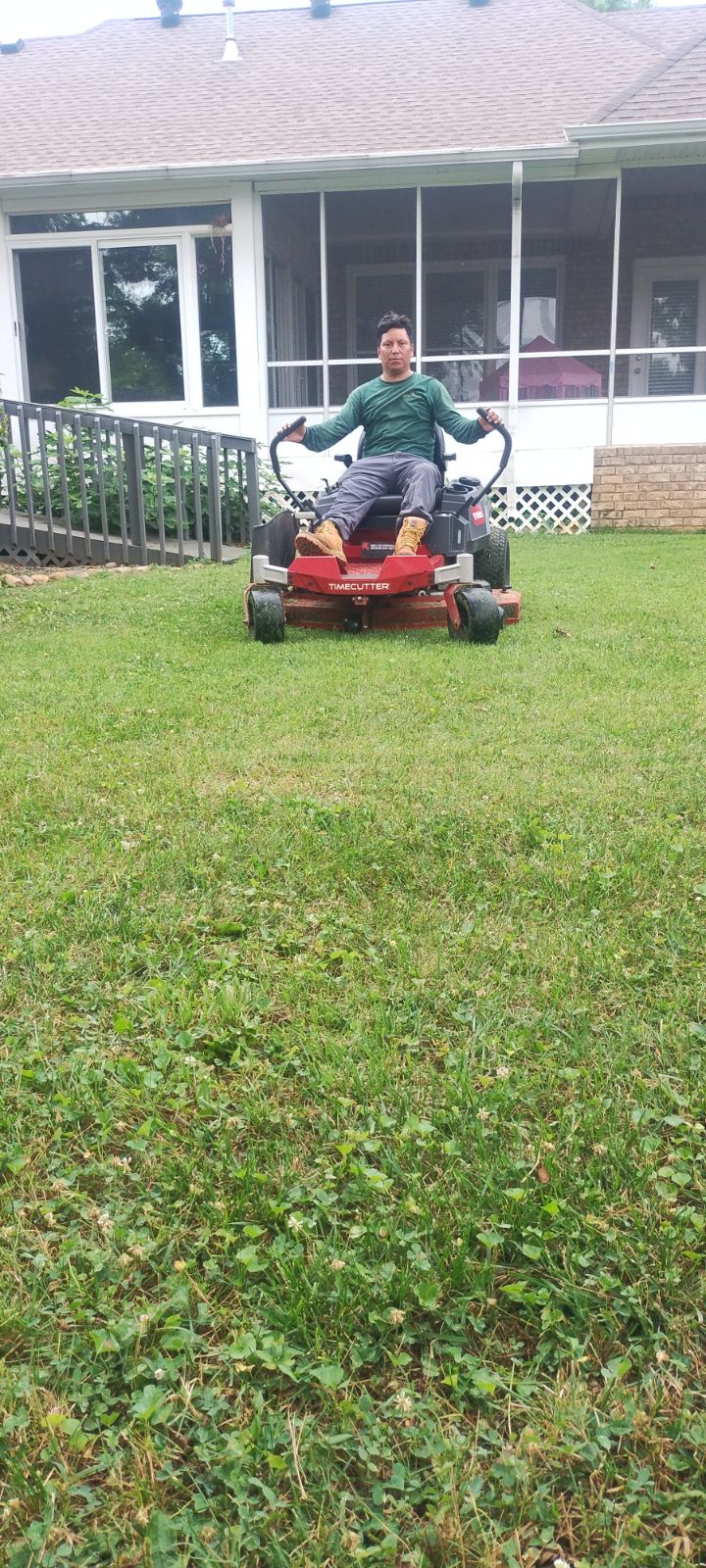 Avatar for Flores landscaping