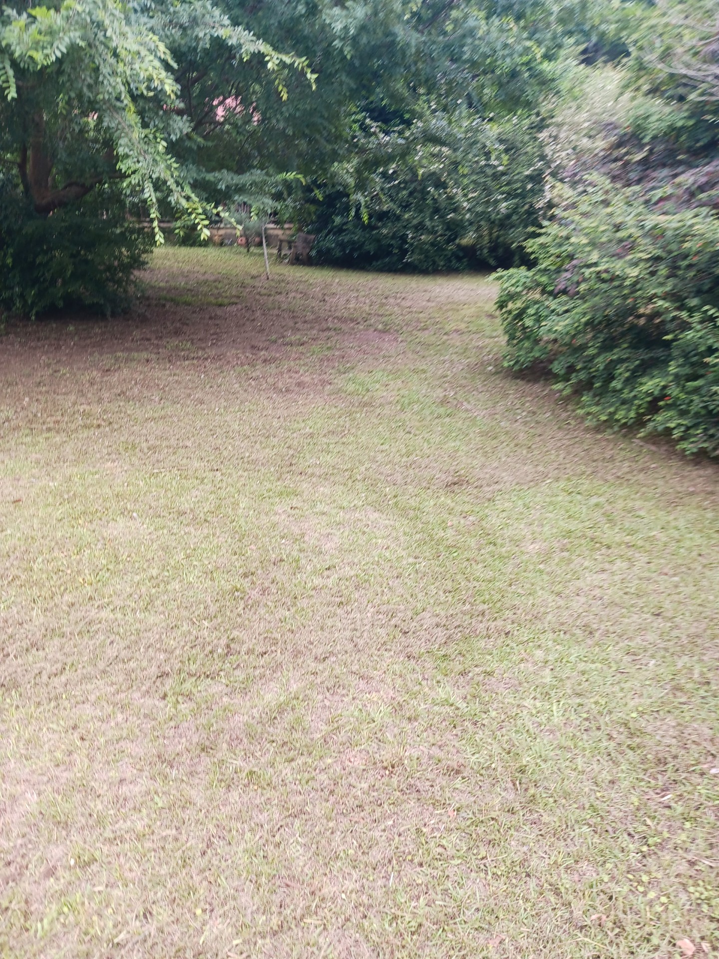 Alternative Lawncare logo