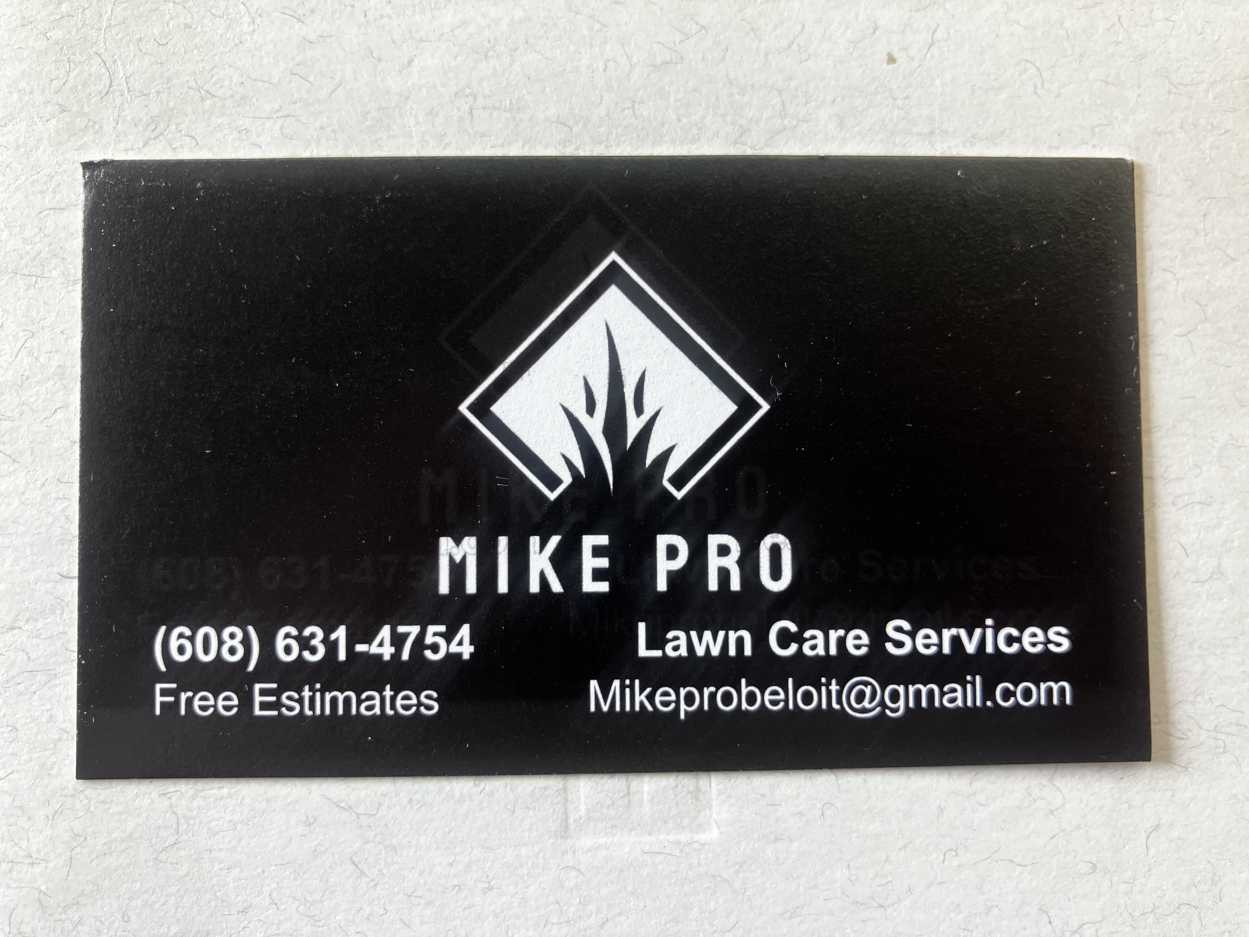 Mike Pro logo