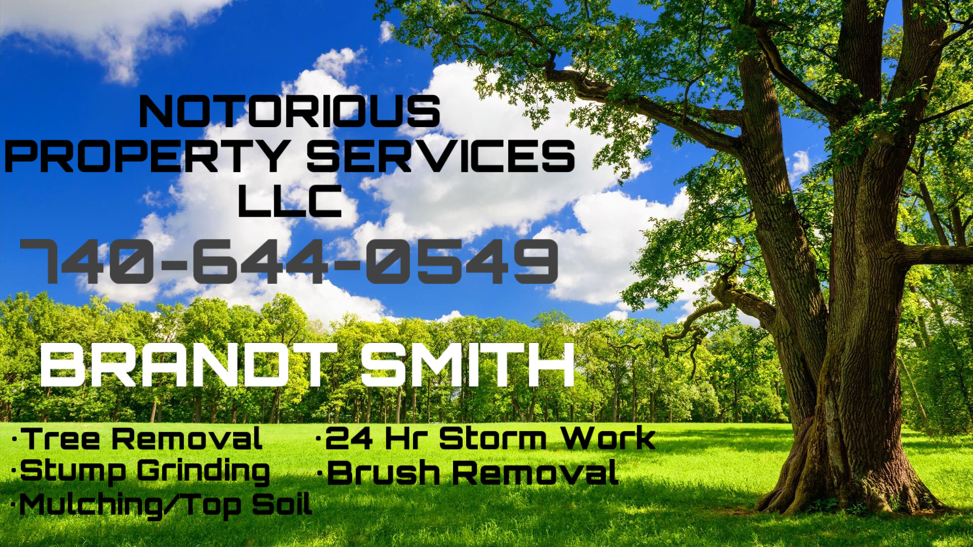 Avatar for Notorious Property Services