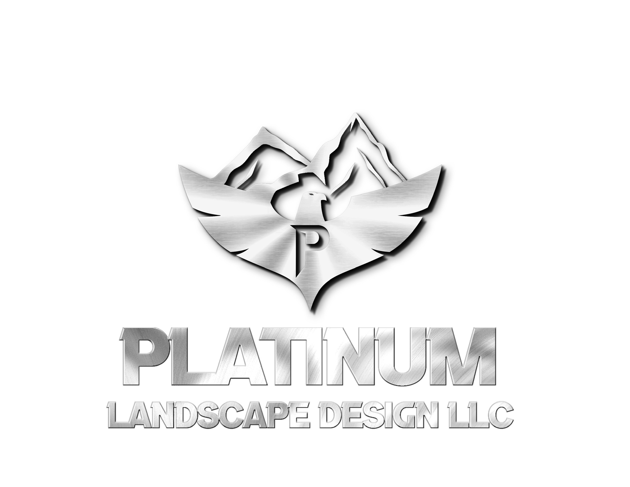 Avatar for Platinum Construction