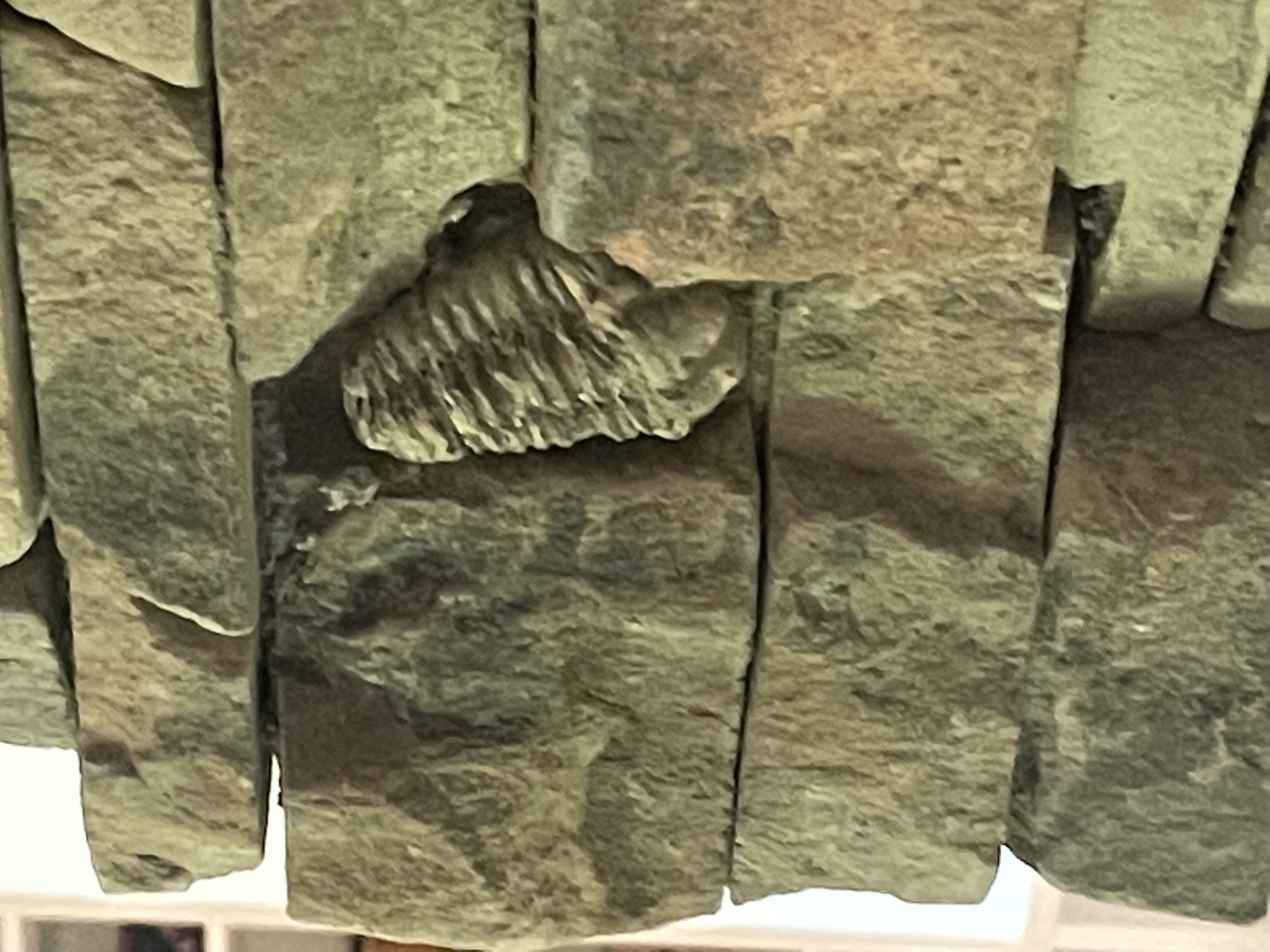 Avatar for BCBowman Custom Stone