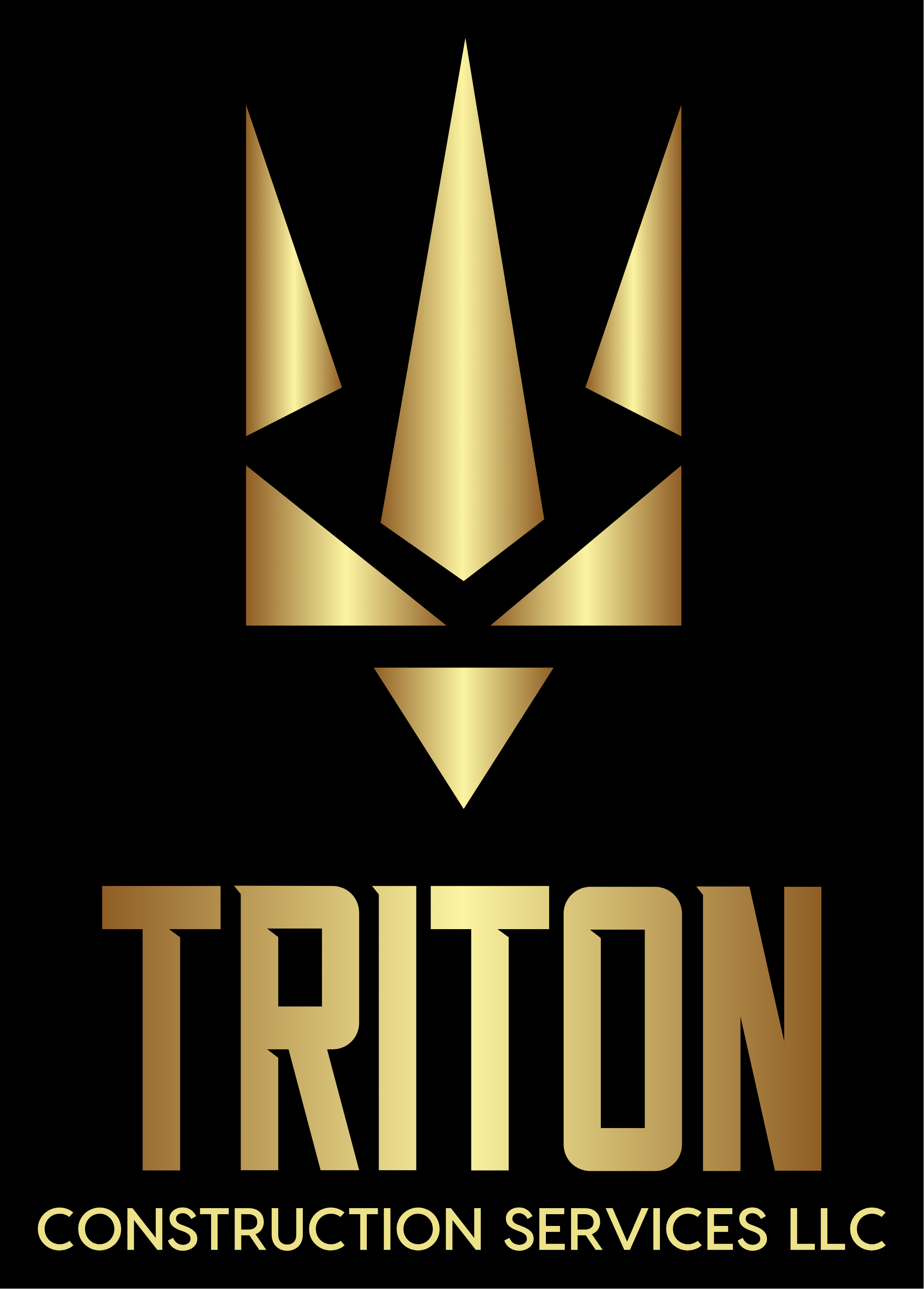 Avatar for Triton Construction Services LLC