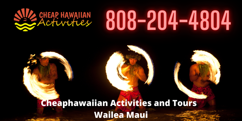 CheaphawaiianActivitiesandToursWailea logo