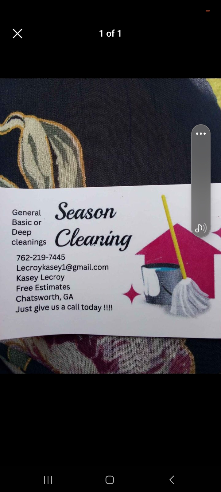 Avatar for All season cleaning