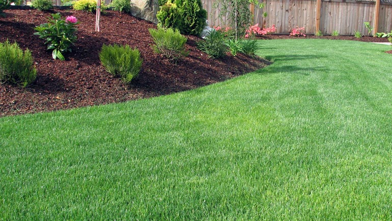 L and v lawn care logo