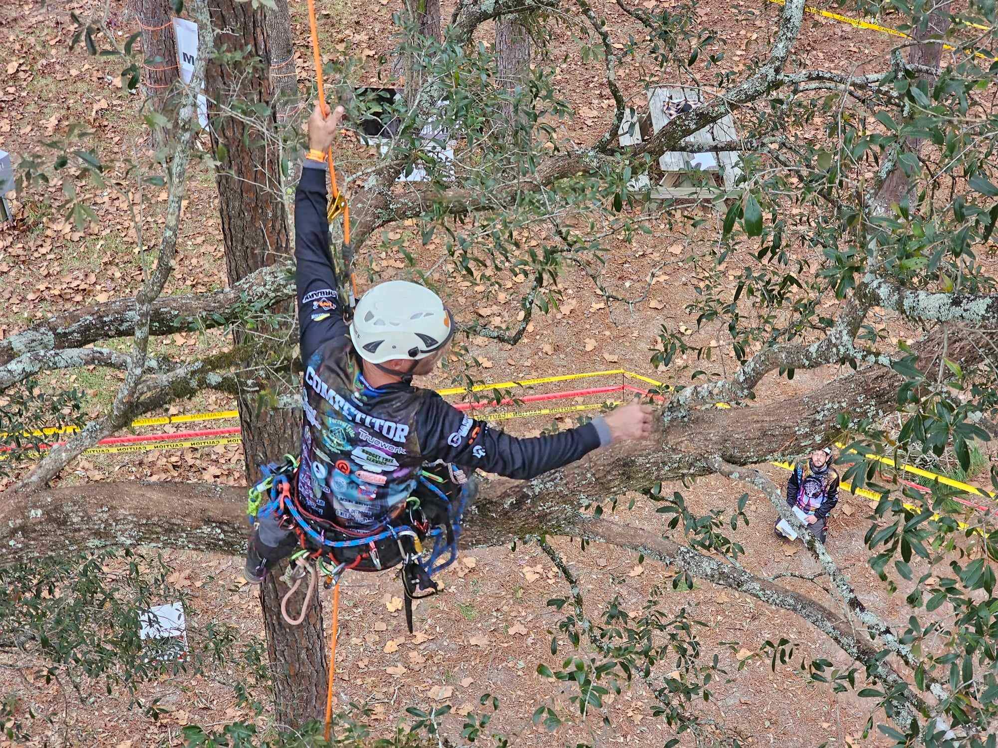 Hager's Tree Care logo