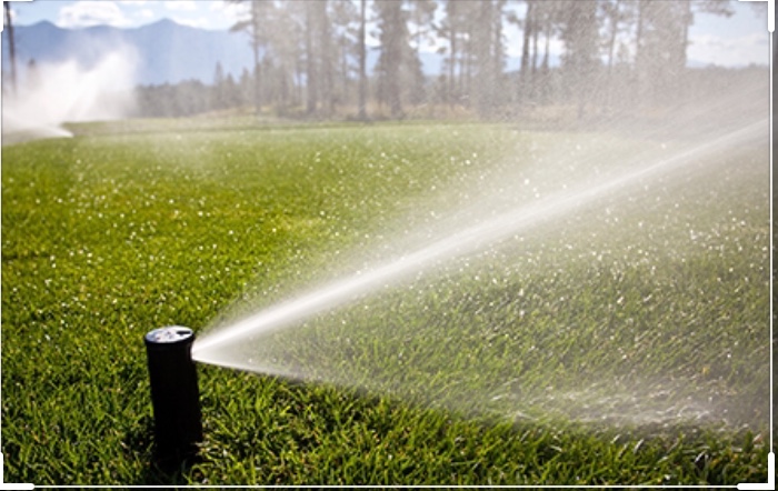 Avatar for Sprinkler pro